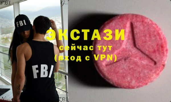 ECSTASY Гусев