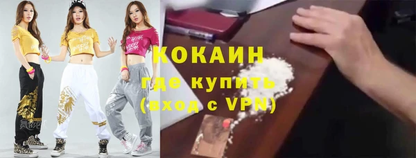 бошки Белокуриха