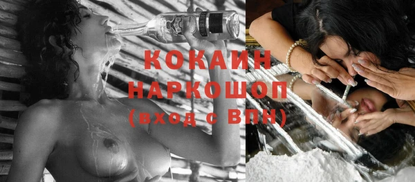 бошки Белокуриха