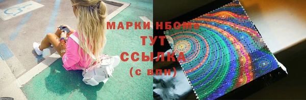 бошки Белокуриха