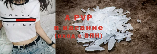 бошки Белокуриха
